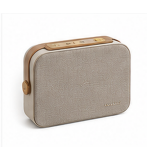 Soundless Speaker
